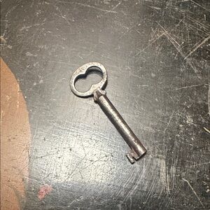 Vintage Metal Skeleton Key